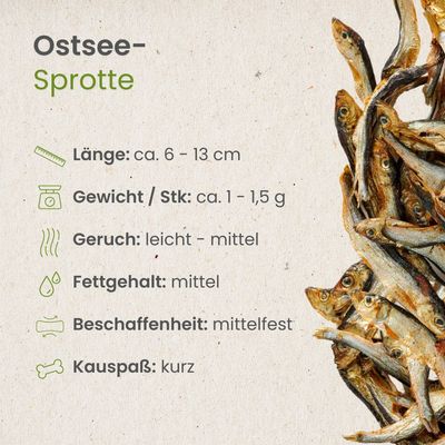 Kauartikel.com Ostsee-Sprotte