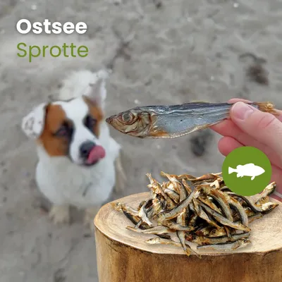 Kauartikel.com Ostsee-Sprotte