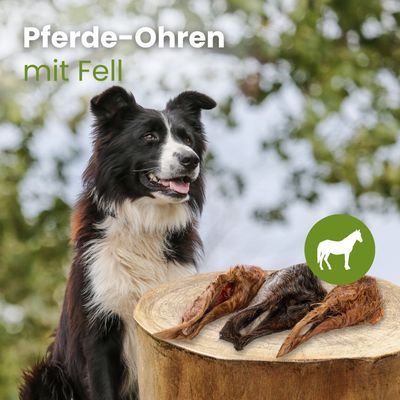 Kauartikel.com Pferde-Ohren mit Fell