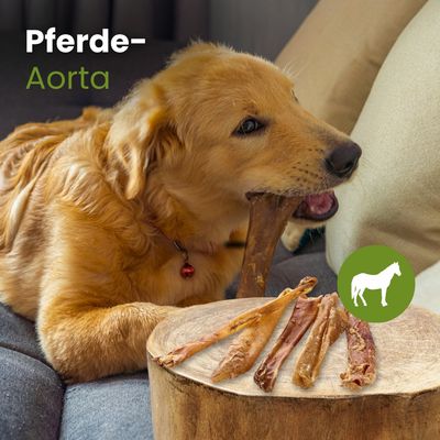 Kauartikel.com Pferde-Aorta, kurz