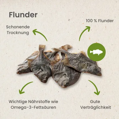 Kauartikel.com Flunder
