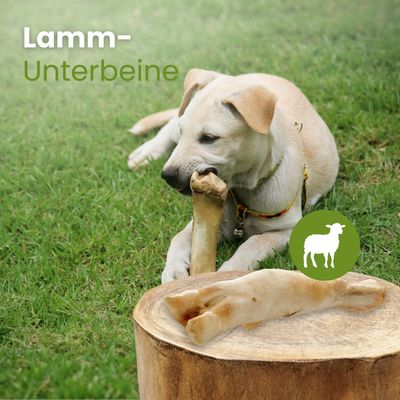 Kauartikel.com Lamm-Unterbeine