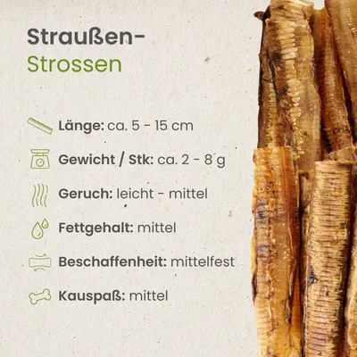 Kauartikel.com Straußen-Strossen