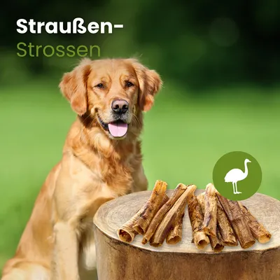 Kauartikel.com Straußen-Strossen