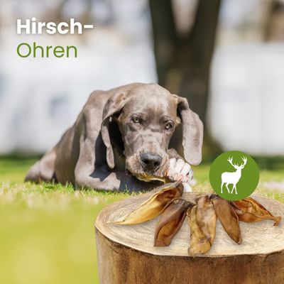 Kauartikel.com Hirsch-Ohren
