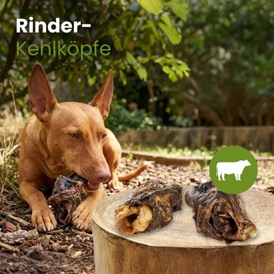 Kauartikel.com Rinder-Kehlköpfe