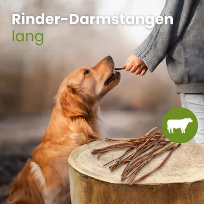 Kauartikel.com Rinder-Darmstangen, lang