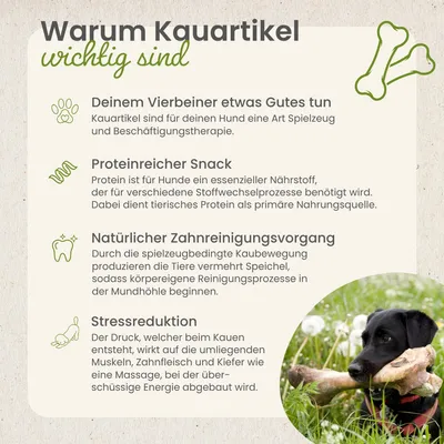 Kauartikel.com Rinder-Darmstangen, lang