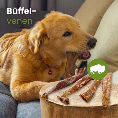 Kauartikel.com Büffel-Venen