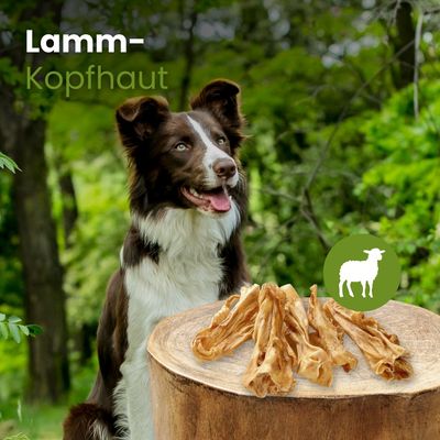 Kauartikel.com Lamm-Kopfhaut
