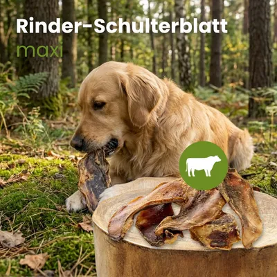 Kauartikel Rinder-Schulterblatt Maxi Kauartikel Rinder-Schulterblatt Maxi