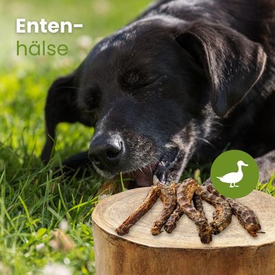 Kauartikel.com Enten-Hälse