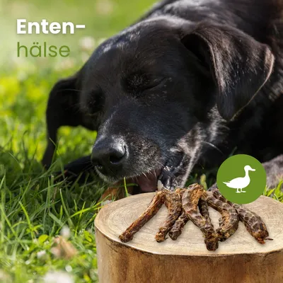 Kauartikel.com Enten-Hälse