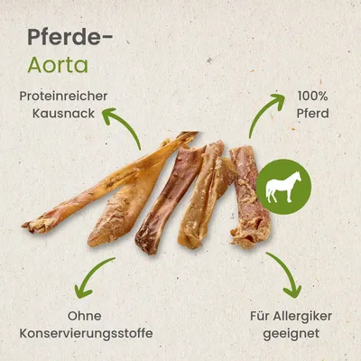 Kauartikel.com Pferde-Aorta, kurz