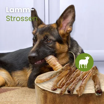 Kauartikel.com Lamm-Strossen