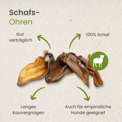 Kauartikel.com Schafs-Ohren