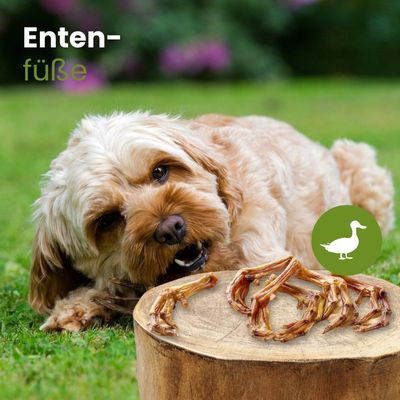 Kauartikel.com Enten-Füsse