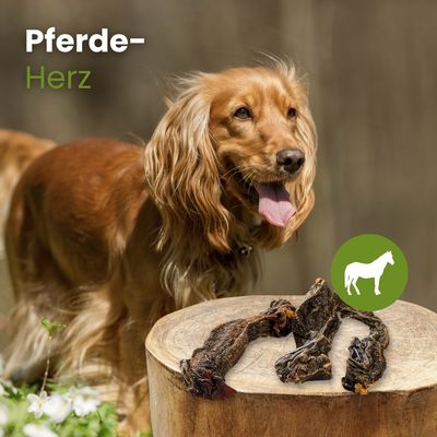 Kauartikel.com Pferde-Herz