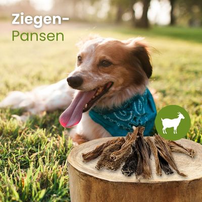 Kauartikel.com Ziegen-Pansen