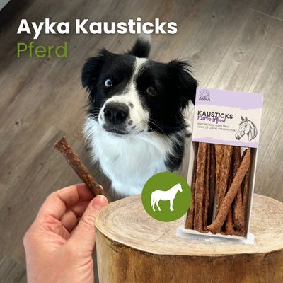 Kauartikel.com AYKA Kausticks Pferd