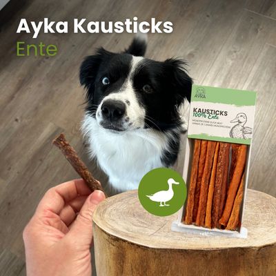 Kauartikel.com AYKA Kausticks Ente