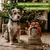 Kauartikel.com Adventskalender für Hunde Kauartikel.com Adventskalender für Hunde