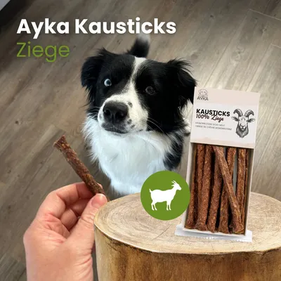 Kauartikel.com AYKA Kausticks Ziege Kauartikel.com AYKA Kausticks Ziege