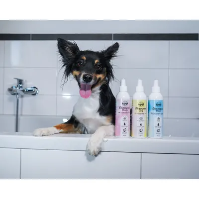 Bellfor Hundeshampoo Dry bei trockenem Fell Bellfor Hundeshampoo Dry bei trockenem Fell