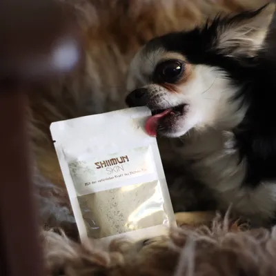 Marsapet Shiimun Skin Pulver für Hunde und Katzen mit Shiitake Marsapet Shiimun Skin Pulver für Hunde und Katzen mit Shiitake