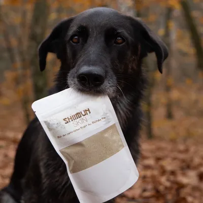 Marsapet Shiimun Skin Pulver für Hunde und Katzen mit Shiitake Marsapet Shiimun Skin Pulver für Hunde und Katzen mit Shiitake