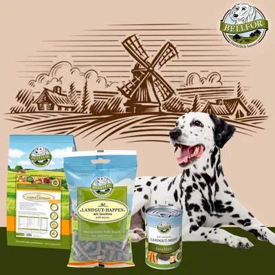 Bellfor Dalmatiner Futter Set Bellfor Dalmatiner Futter Set