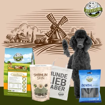 Bellfor Groß Pudel Futter Set Bellfor Groß Pudel Futter Set