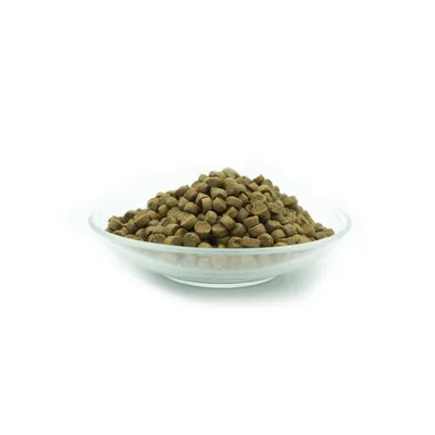 Bellfor Zwergschnauzer Futter Set Bellfor Zwergschnauzer Futter Set