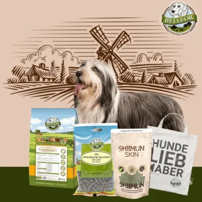 Bellfor Bearded Collie Futter Set Bellfor Bearded Collie Futter Set