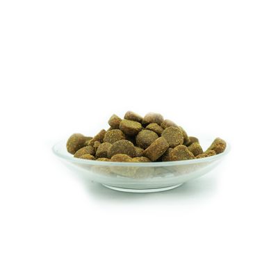 Bellfor Hundefutter für sportliche Hunde - PREMIUM PUR Aktiv