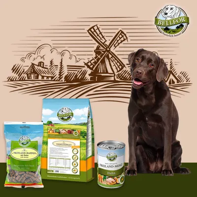 Bellfor Labrador Futter Set Bellfor Labrador Futter Set