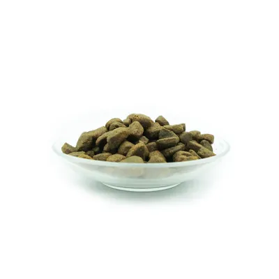 Bellfor Wildbach-Schmaus - Trockenfutter für Hunde mit Wildlachs Bellfor Wildbach-Schmaus - Trockenfutter für Hunde mit Wildlachs