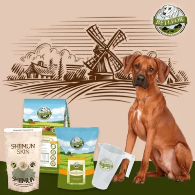 Bellfor Rhodesian Ridgeback Futter Set - Wiesen-Schmaus + Haut & Fell
