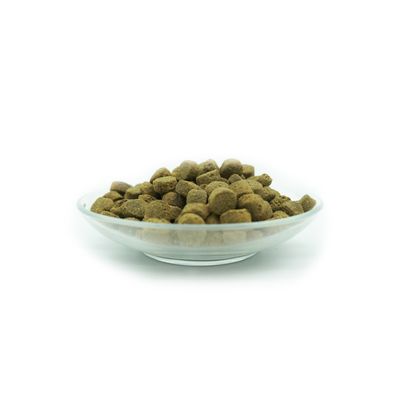 Bellfor Cavalier Futter Set