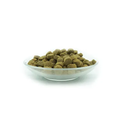 Bellfor Cavalier Futter Set