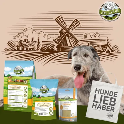 Bellfor Irischer Wolfshund Futter Set Bellfor Irischer Wolfshund Futter Set