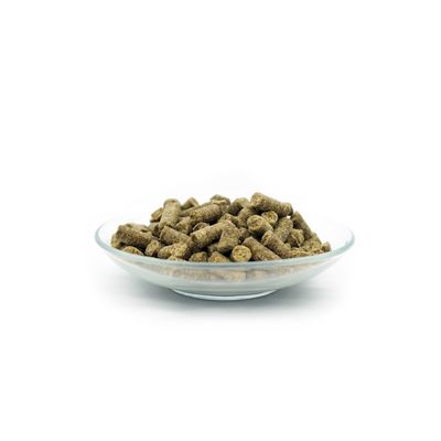 Bellfor Pack alimentaire pour lévrier irlandais