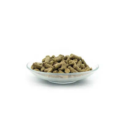 Bellfor Irischer Wolfshund Futter Set Bellfor Irischer Wolfshund Futter Set