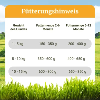 Bellfor Hundefutter Nass mit Insekten für Welpen - Landgut-Menü Junior Bellfor Hundefutter Nass mit Insekten für Welpen - Landgut-Menü Junior