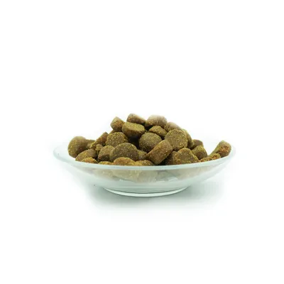 Bellfor PREMIUM PUR Aktiv