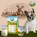 Bellfor Französische Bulldogge Futter Set