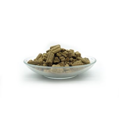 Bellfor Trockenfutter für Hunde mit Lachs und Forelle Forstbach-Schmaus