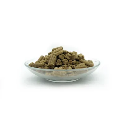 Bellfor Trockenfutter für Hunde mit Lachs und Forelle Forstbach-Schmaus Bellfor Trockenfutter für Hunde mit Lachs und Forelle Forstbach-Schmaus