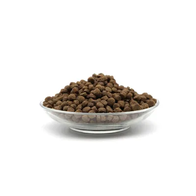 Bellfor Hundetrockenfutter mit Insekten - Naturfarm-Schmaus Mini Bellfor Hundetrockenfutter mit Insekten - Naturfarm-Schmaus Mini