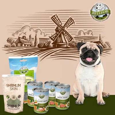 Bellfor Mops Futter Set